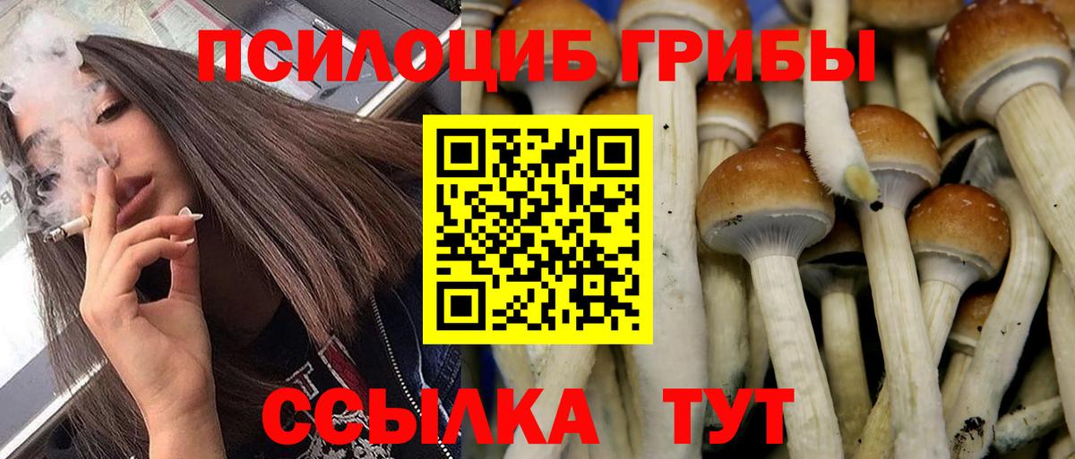 Галлюциногенные грибы мухоморы Нягань