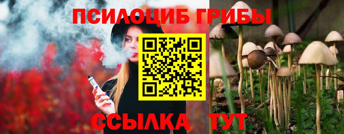 Нягань  Галлюциногенные грибы Psilocybine cubensis  Вход с VPN 